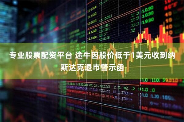 专业股票配资平台 途牛因股价低于1美元收到纳斯达克退市警示函