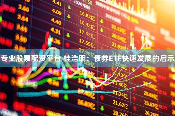 专业股票配资平台 桂浩明：债券ETF快速发展的启示