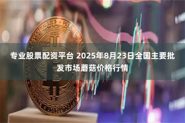 专业股票配资平台 2025年8月23日全国主要批发市场蘑菇价格行情