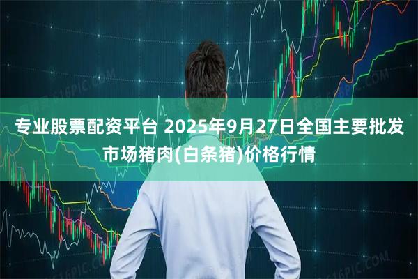 专业股票配资平台 2025年9月27日全国主要批发市场猪肉(白条猪)价格行情